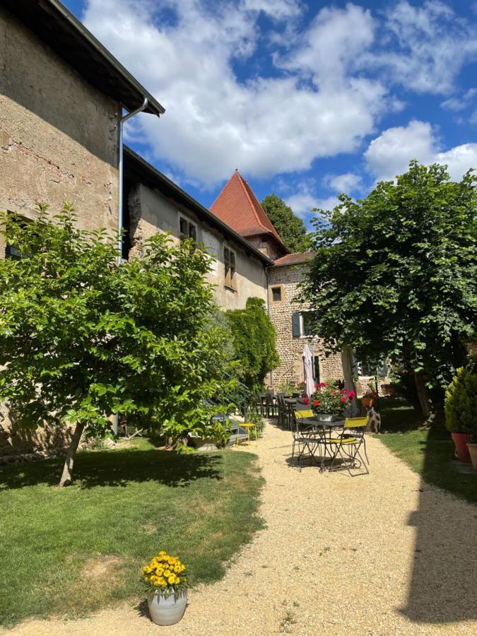 Chateau De La Saone Lens-Lestang Exterior foto